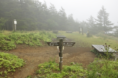 Mountain Mist Princess:の写真素材