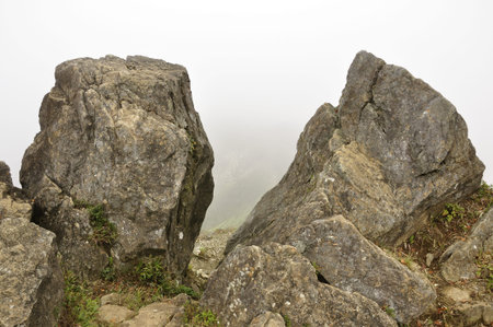 Demon days rock-headの写真素材