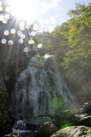Violent splashing lightning fallsの写真素材