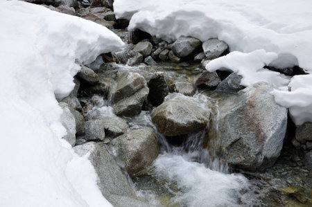 Winter Gora swamp bodiesの写真素材