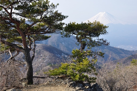 At the Summit of Pine Grove and Mt. Fujiの写真素材
