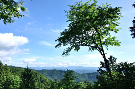 View from Mt. Iwatake stone in summer