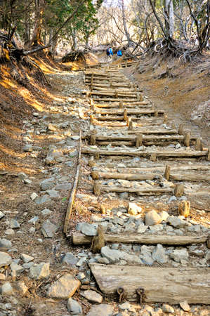 The Road of Tanzawa Okura Ridge in Okitazawaの写真素材