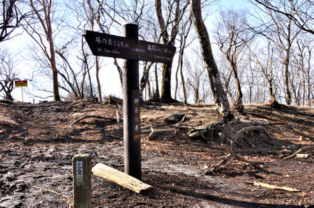Tanzawachi Komaru Ridge Branch in Winterの写真素材