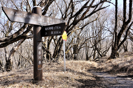 The branch of the summit of Nabekayama in Tanzawa area in winter