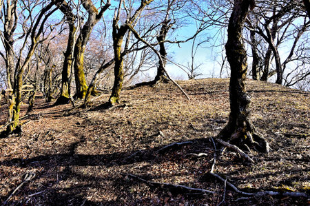 The summit of Mizuhino-headed, Daisen Kita-one in Tanzawa
Mizuhinohino-head is a peak located 2km...