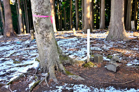 Tanzawa no Hemuroyama Triangular Point Marker
Triangular point (side chamber) * 644.3m point about 50m north of the summitの写真素材