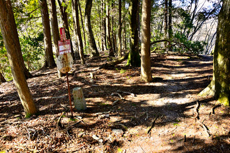 Forest Peak Tanzawa no Otsubozawa Headの写真素材