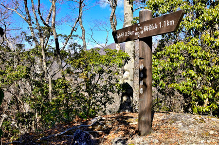 Tanzawa no Chinoki Tanasawa Nogashira Summit Forest Peakの写真素材