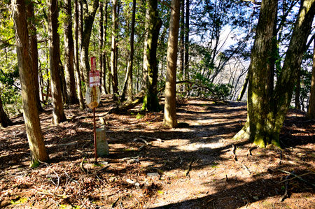 Forest Peak Tanzawa no Otsubozawa Headの写真素材