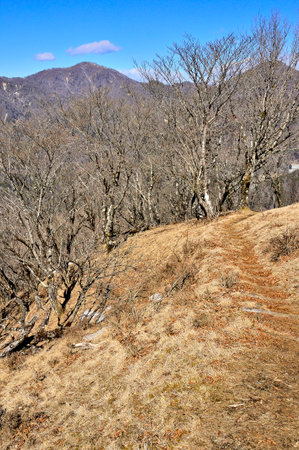 Hido Maru seen from the road of Nabewariyama in Tanzawaの写真素材