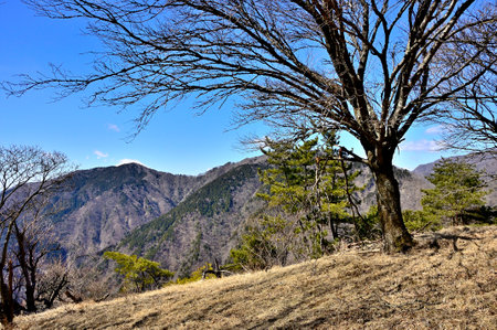Mt. Fuji sticking out from the ridge of Mt. Hidake seen from the Minamiyama ridge of Mt. Nabewari in Tanzawaの写真素材