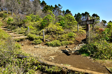 Spring Tanzawa Tanzawa Main Vein Ryugababa Rest Area Signpostの写真素材