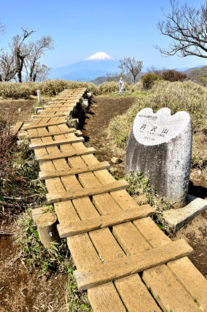 Mt. Fuji seen from the summit of Mt. Tanzawa in Japan's 100 famous mountainsの写真素材