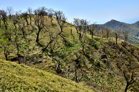Mt. Tanzawa and Mt. Tonotake in the Tanzawa Mountainsの写真素材