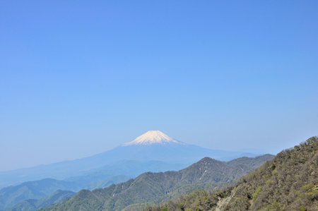 Fresh green mountains from Mt. Tanzawa in the Tanzawa Mountains, Mt. Fuji and blue skyの写真素材