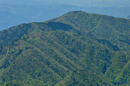 Fresh green Hinotake mountain ridge seen from Mt. Tanzawa in the Tanzawa Mountainsの写真素材
