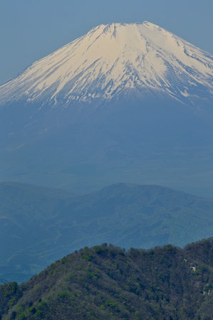 Mt. Fuji in spring from Mt. Tanzawa in the Tanzawa Mountainsの写真素材