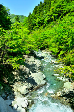Kanagawa Prefectural Route 70 Hadano Kiyokawa Line Shiomizu Bridge Fresh Green Shimizu Riverの写真素材
