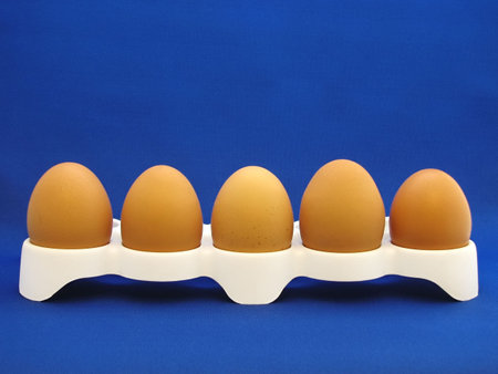 Front view of five eggs in a white eggcup, on a blue background.