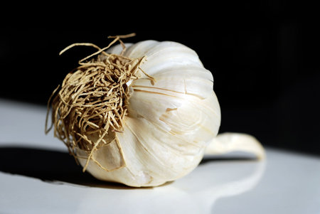 Isolated Garlic