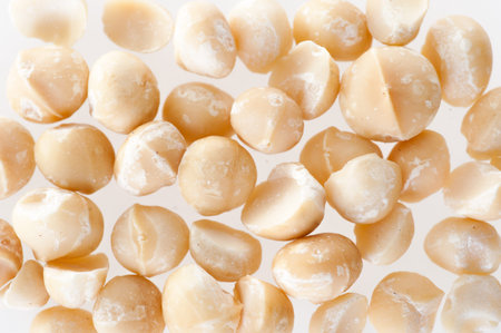 Background of unshelled macadamia nutsのeditorial素材