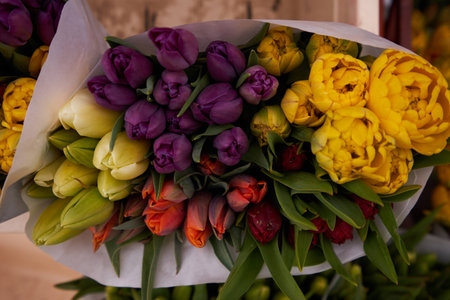 The bouquet of the beautiful tulips during springの写真素材
