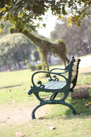 bench in parkの写真素材