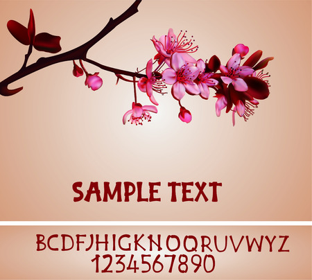 Sakura blossoms background with original alphabet vector illustration with mesh, gradient のイラスト素材