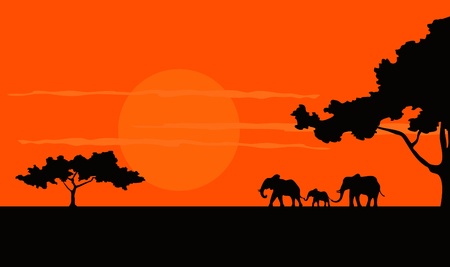 Cartoon illustration of the African Safari sunsetのイラスト素材