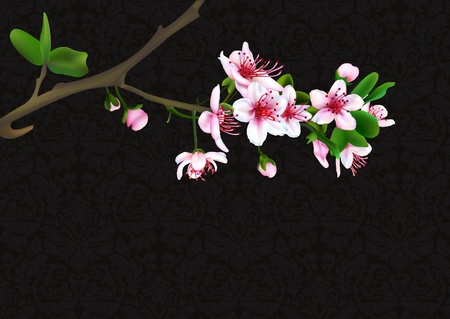 Sakura blossoms with retro background  vector illustrationのイラスト素材