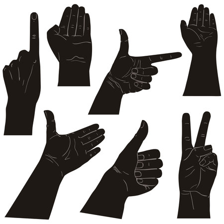 Collection of hands on diferent positions, illustrationのイラスト素材