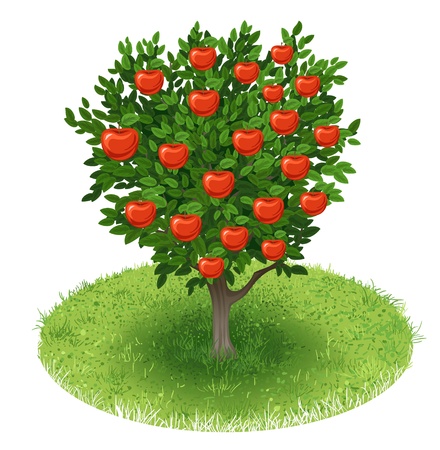 Summer Apple Tree with red apple fruits in green field, illustrationのイラスト素材