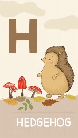 Animals ABC, letter H. Hedgehog, mushrooms and forest elements in alphabet card. のイラスト素材