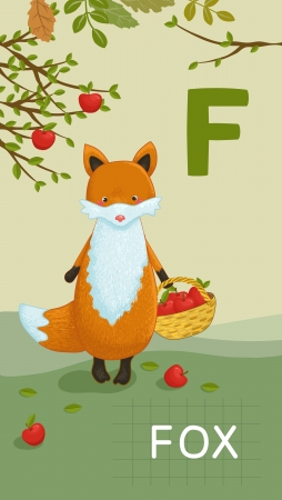 Animals ABC, letter F. Fox in alphabet card. のイラスト素材