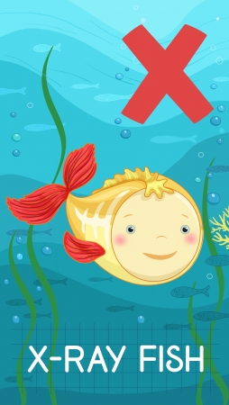 Animals ABC, letter X. X-ray fish in alphabet card. のイラスト素材