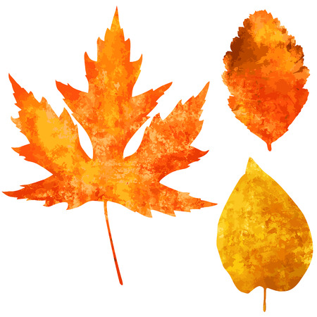 Collection of beautiful watercolor autumn leaves isolated on white backgroundのイラスト素材