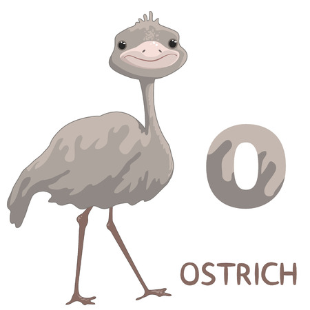  letter O, ostrichのイラスト素材