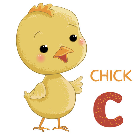 letter C, Chickのイラスト素材