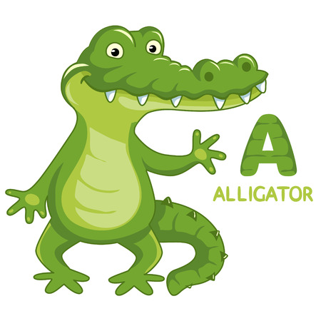 letter A, alligatorのイラスト素材
