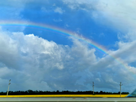 View of a rainbow in a field with yellow millet. Bright blue sky with clouds. beautiful horizontal photoの写真素材