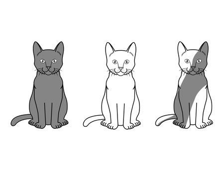 Vector illustration of grey and white cartoon cats. Flat style design for greeting card, poster, web, site, banner, sticker, logo. kitty pet animal set. Isolated on white background.のイラスト素材