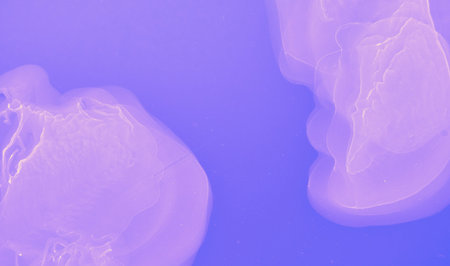 Abstract Ink Gradient. Blue Contemporary Digital Poster. Bright Oil Design. Violet Graphic Flow...