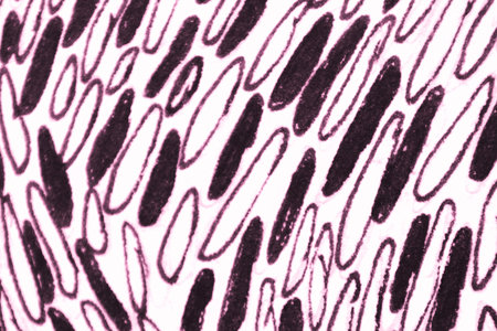 Doodle Background. Smooth Grunge Texture. Tender Handmade Doodles. Funny Graffiti. Empty Abstract...