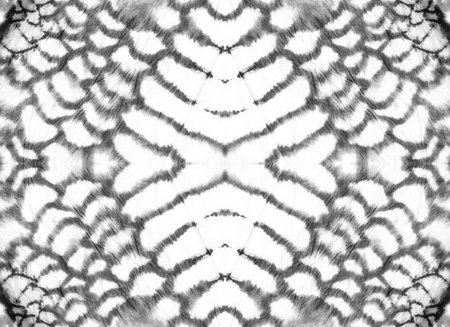 Seamless Snake Skin. Serpent Leather Wild Surface. Jungle Safari Background. Monochrome, Black and White. Grunge Effect Cloth. Watercolor Snake Skin.の写真素材