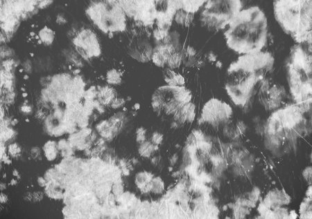 Tie Dye Fabric. Black Batik Shirt. Hippie Watercolor Backdrop. Tie Die Spiral Texture. Artistic...