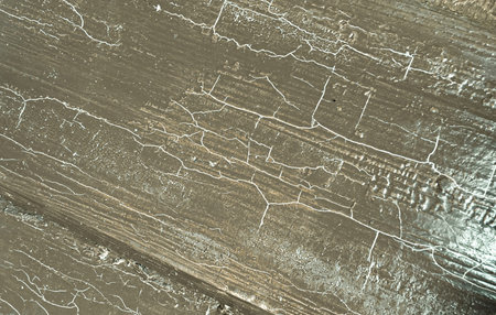 Brown Crack Background. Painted Timber Texture. Crackle Board. Natural Dry Crack Background. Antique...