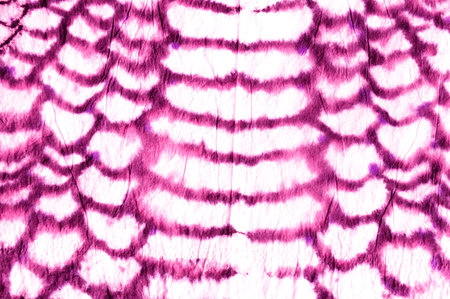 Predator Pattern. Anaconda Leather Animal Print. Trendy Zoo Wallpaper. Pink Color Design. Artistic...