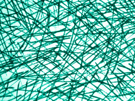 Green Abstract Mark Scribble. Scratch Texture. Handmade Scrawls. Ink Grit Graffiti. Abstract Background. White Scribble Pencil. Green Random Scrawls. Grit Brush Stroke.の写真素材