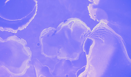 Abstract Paint Background. Blue Contemporary Trendy Wall. Wave Oil Design. Violet Abstract Ink...